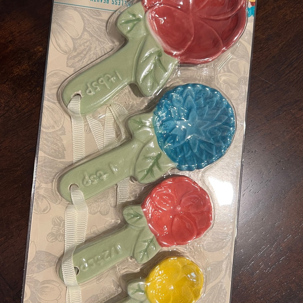 Pioneer Woman 4 Piece Stoneware Measuring Spoon Set